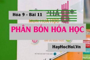 Những phân bón hóa học thường dùng, vai trò của nguyên tố hóa học đối với thực vật - hóa 9 bài 11